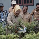Bupati Kobar Dukung Desa Bumiharjo Wakili Kalteng pada Lomba Kampung Keluarga Berkualitas Tingkat Nasional 2026