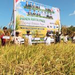 Panen Raya 25.799 Hektare, Kapuas Perkuat Posisi sebagai Sentra Padi Kalteng