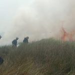 Kebakaran Lahan Berlangsung Dua Hari, Kades Suka Reja Turun Langsung Padamkan Api